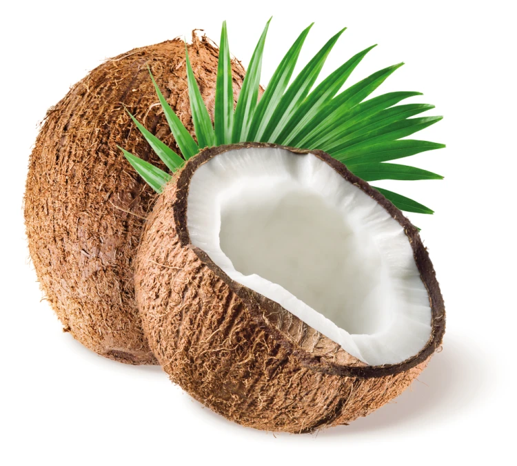 img.png