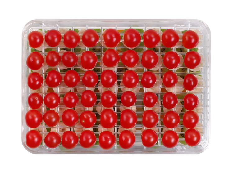 54990a5755c5dfdca48337157f6bd295