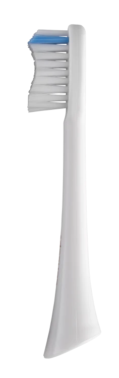 ZK5000_10.png