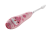 ZK3010_22.png