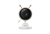 KD1000_9.png