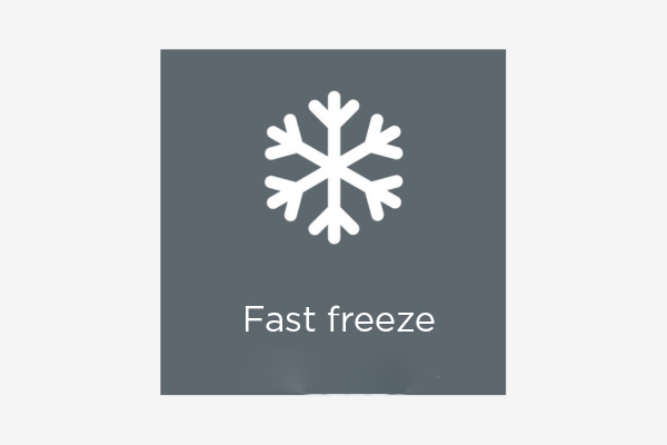 Funkcja Fast Freeze